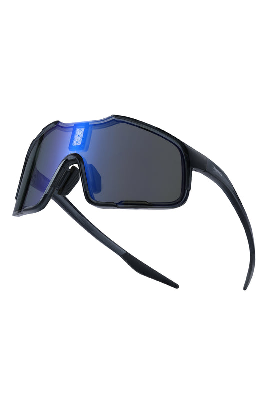 Falcon Sunglass