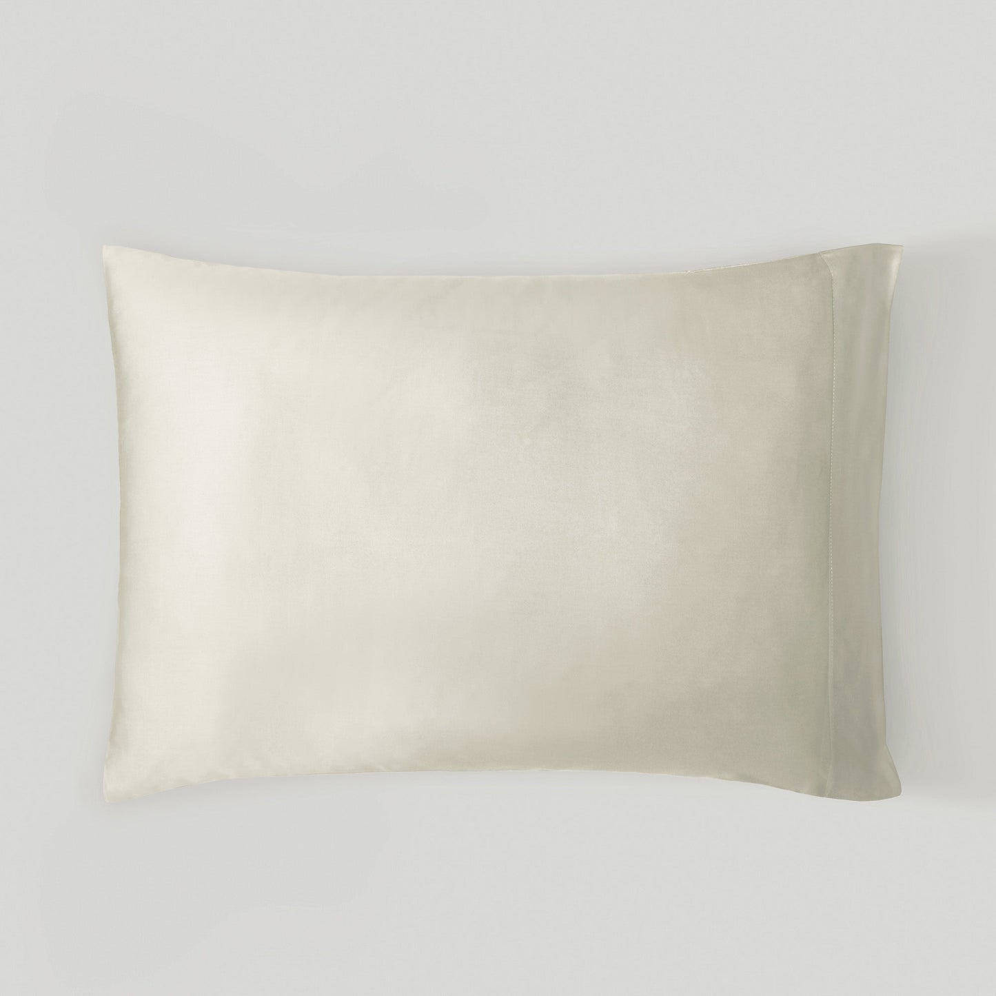 AiryWeight Eucalyptus Pillowcase Set v2