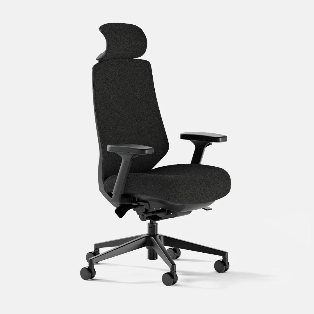 Ergonomic Chair+