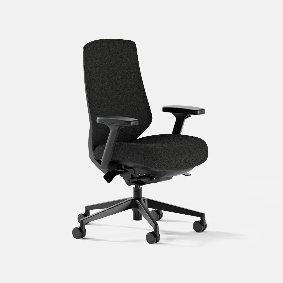 Ergonomic Chair+