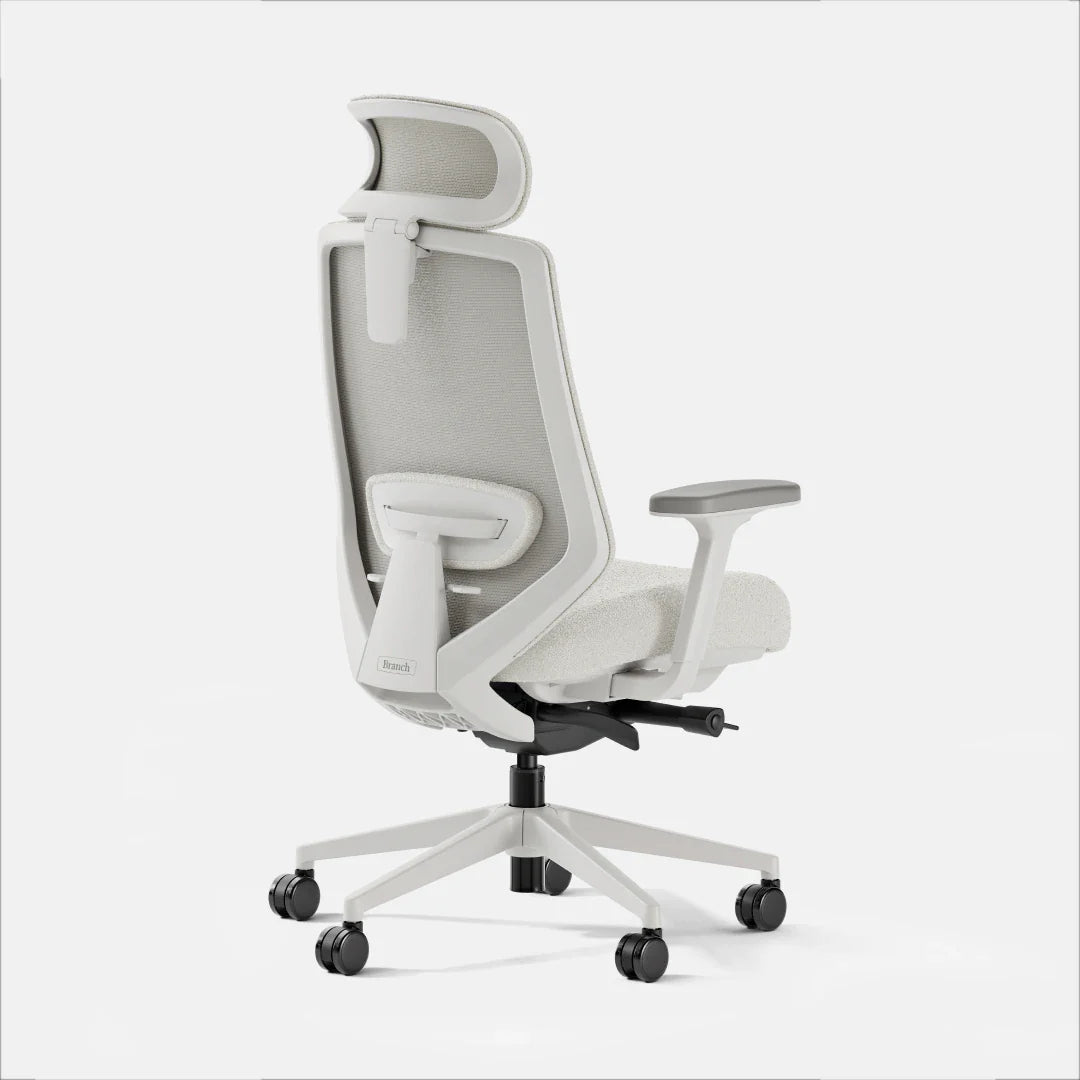 Ergonomic Chair+