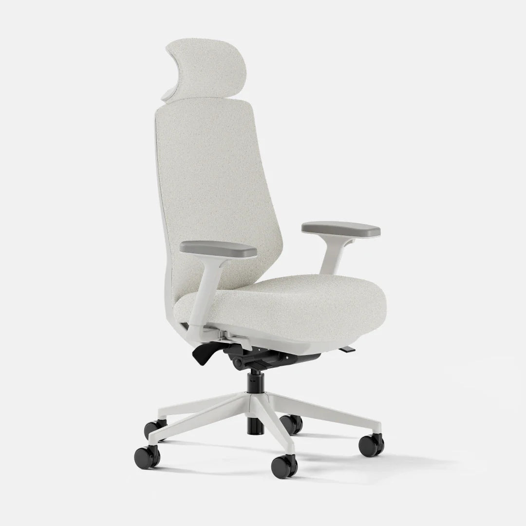 Ergonomic Chair+