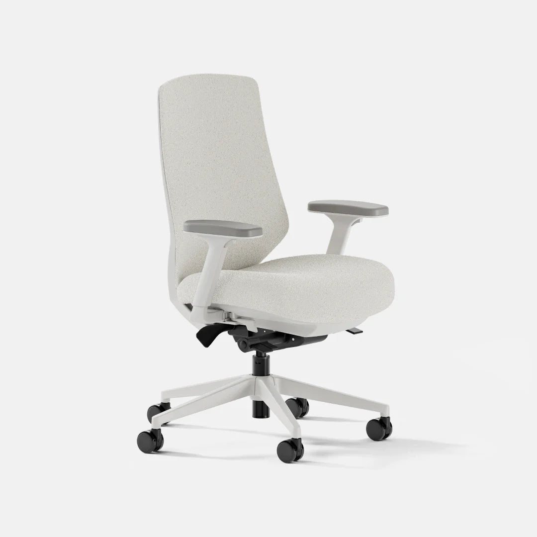 Ergonomic Chair+
