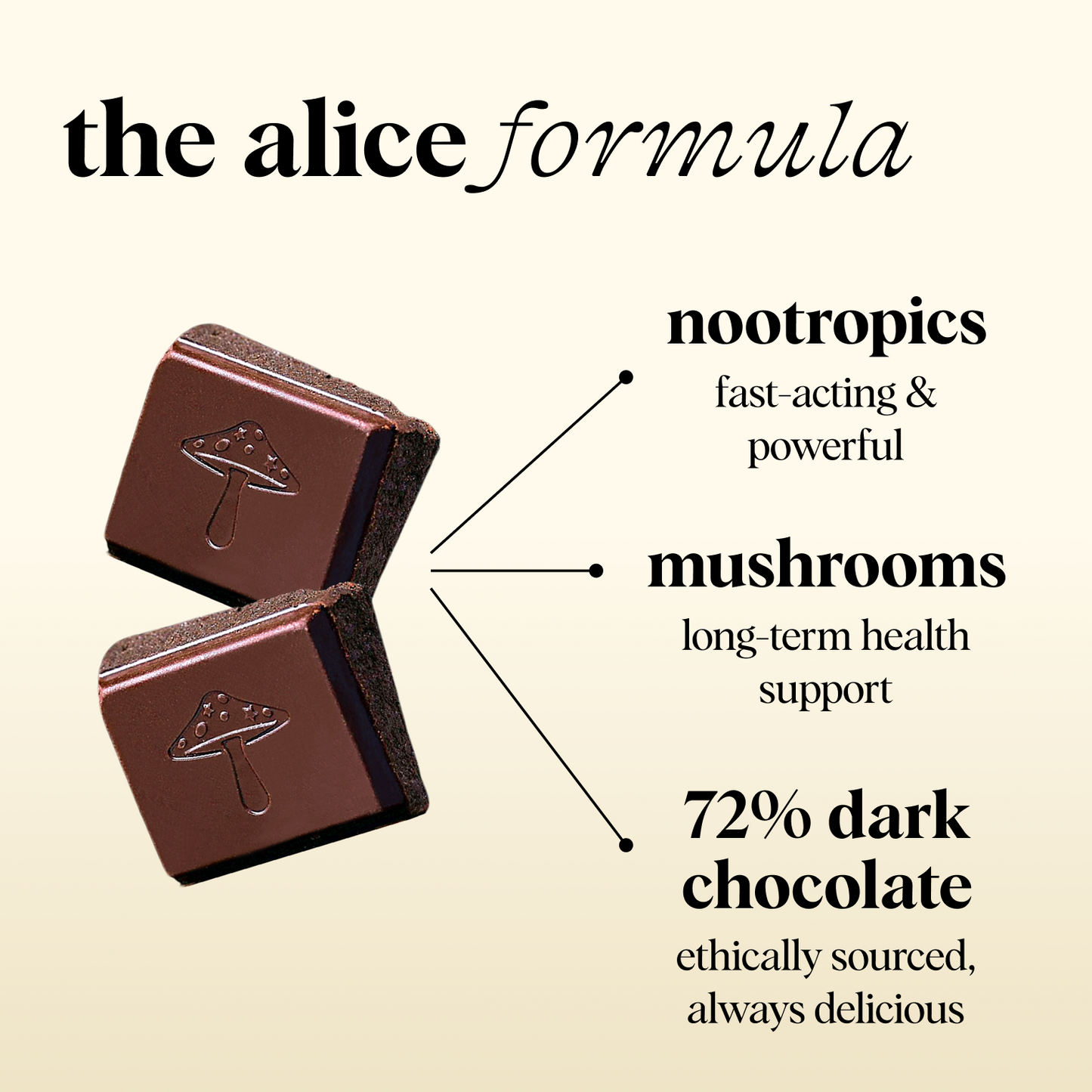 Everyday Duo - Brainstorm and Nightcap Functional Mushroom Chocolates