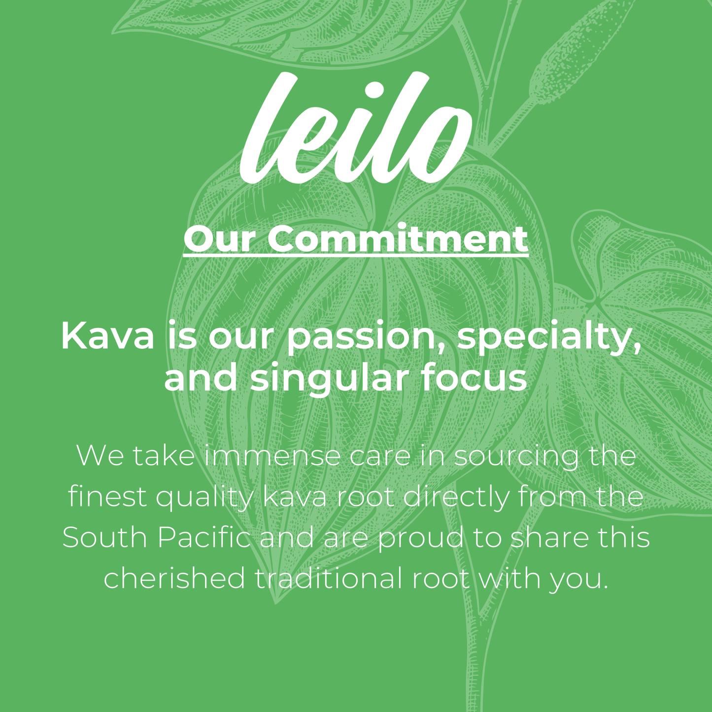 Classic Variety | Kava Tonic