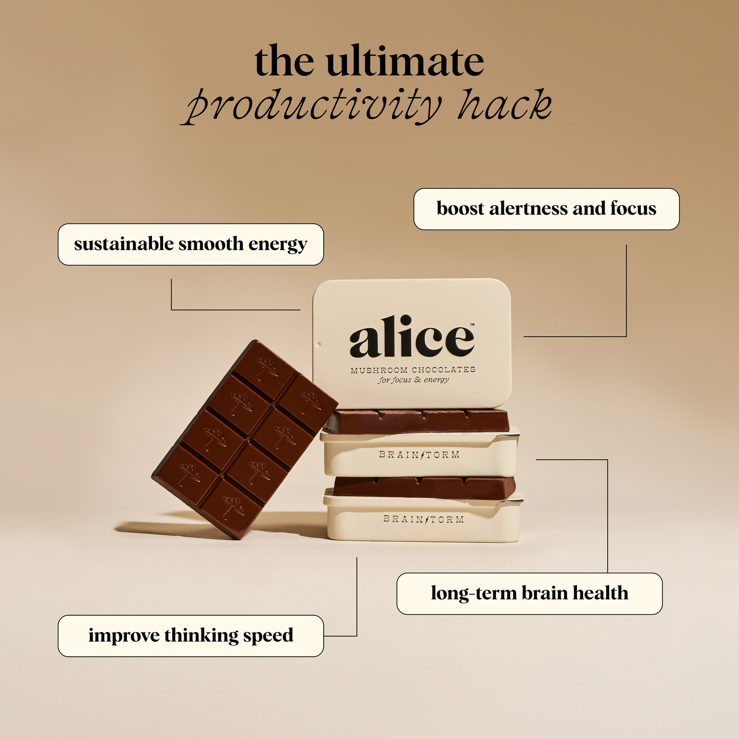 Everyday Duo - Brainstorm and Nightcap Functional Mushroom Chocolates