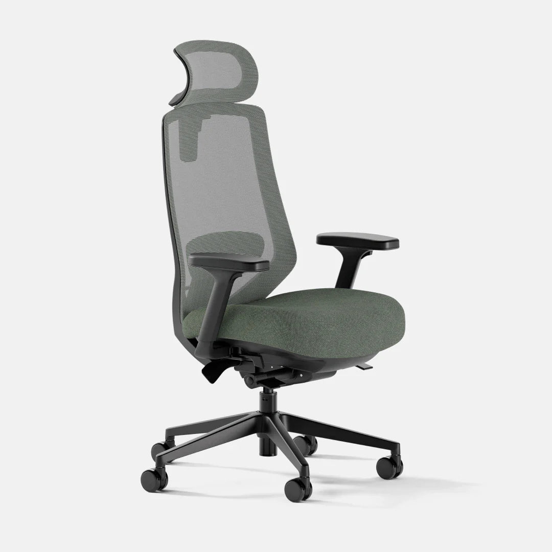 Ergonomic Chair+