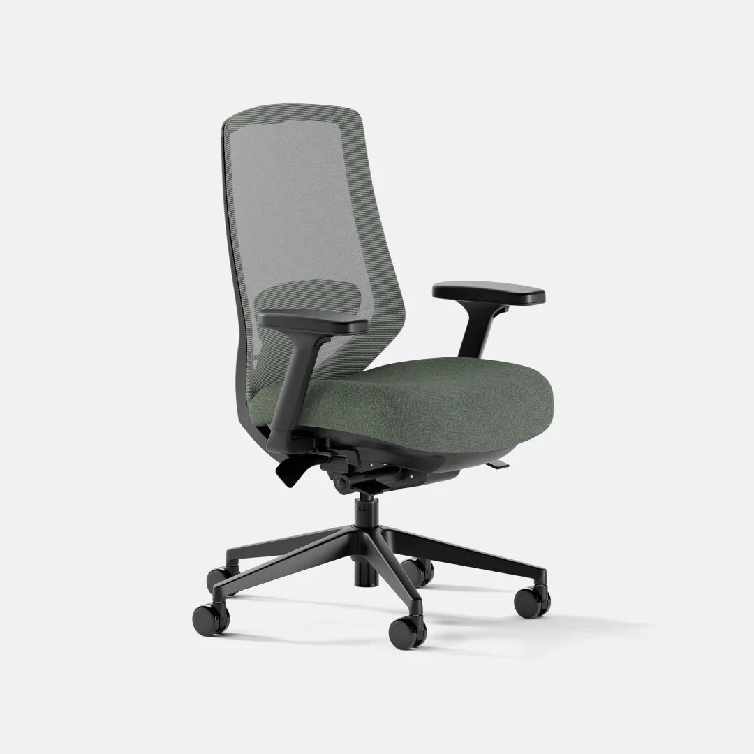 Ergonomic Chair+