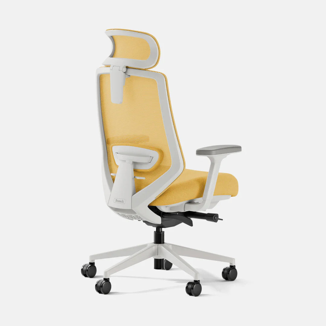 Ergonomic Chair+