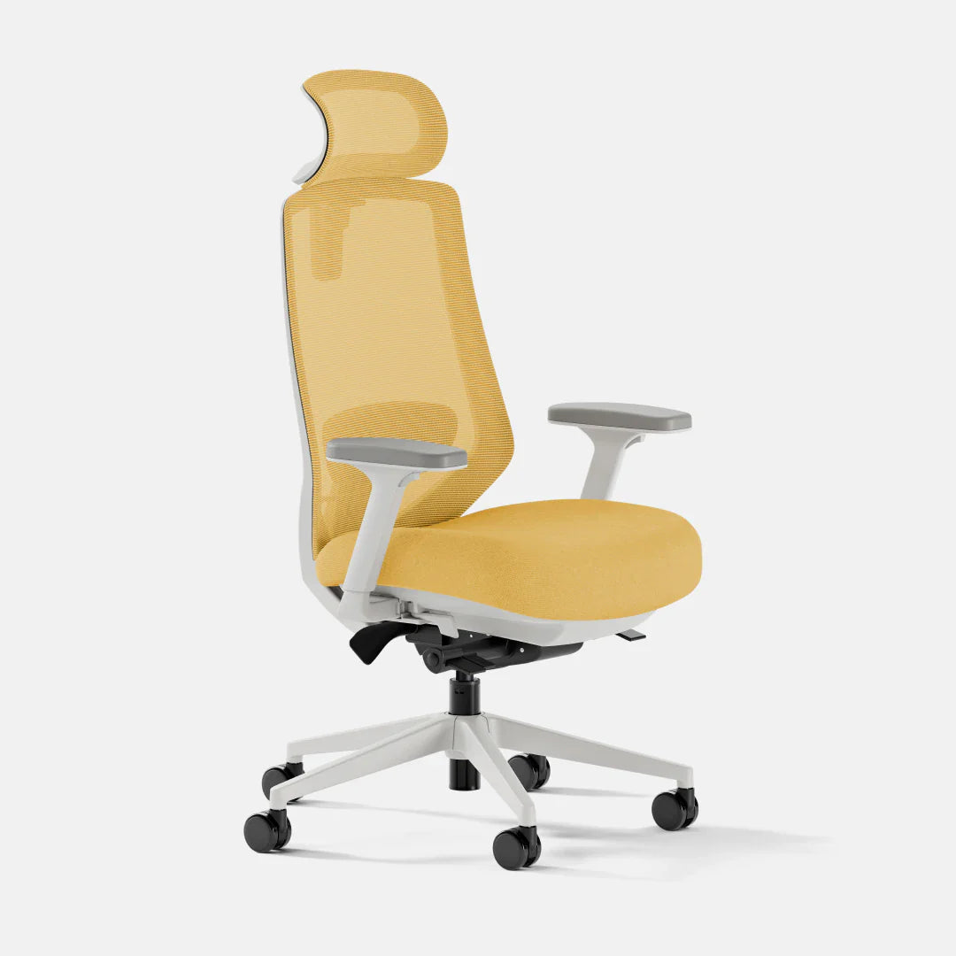 Ergonomic Chair+