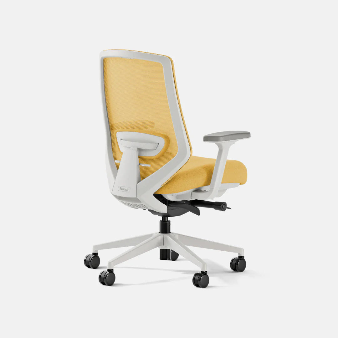 Ergonomic Chair+