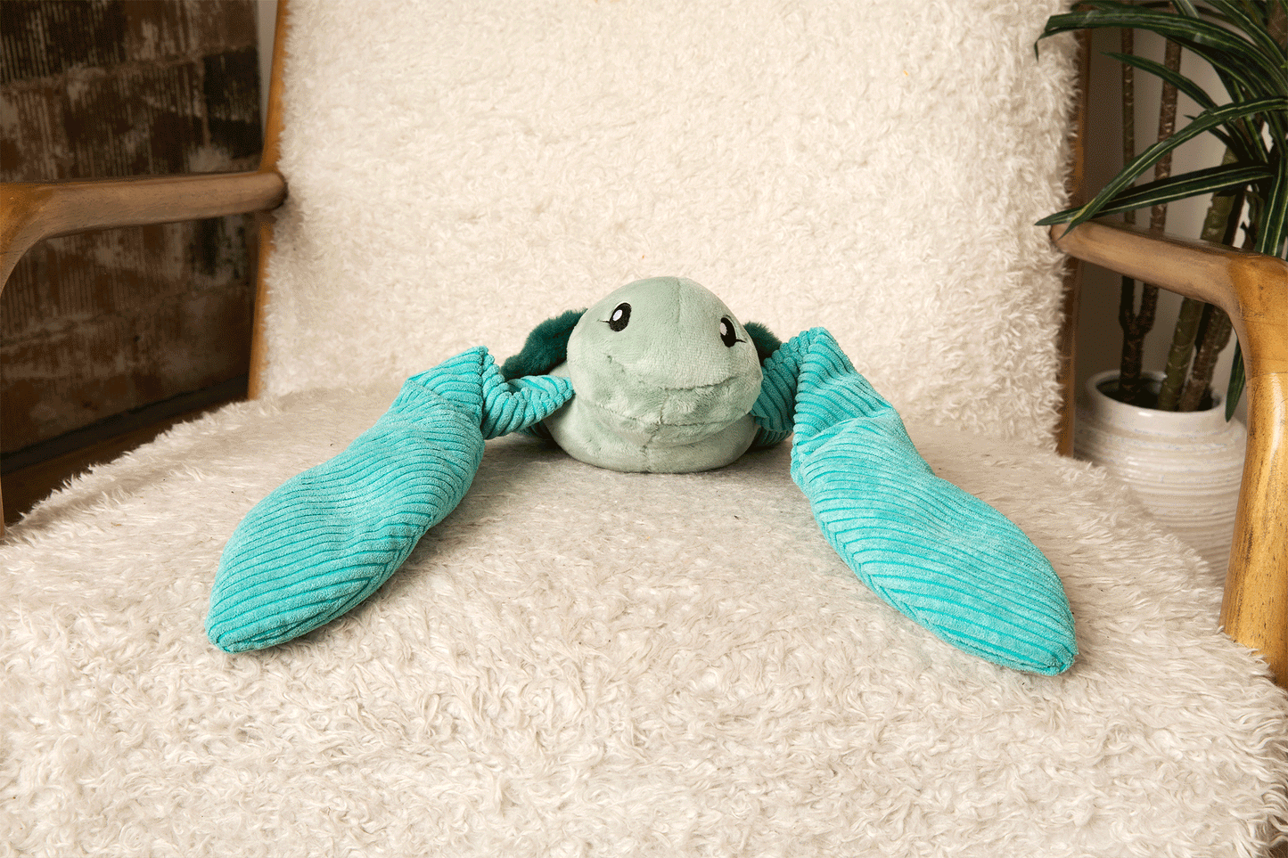 Sidney the Sea Turtle