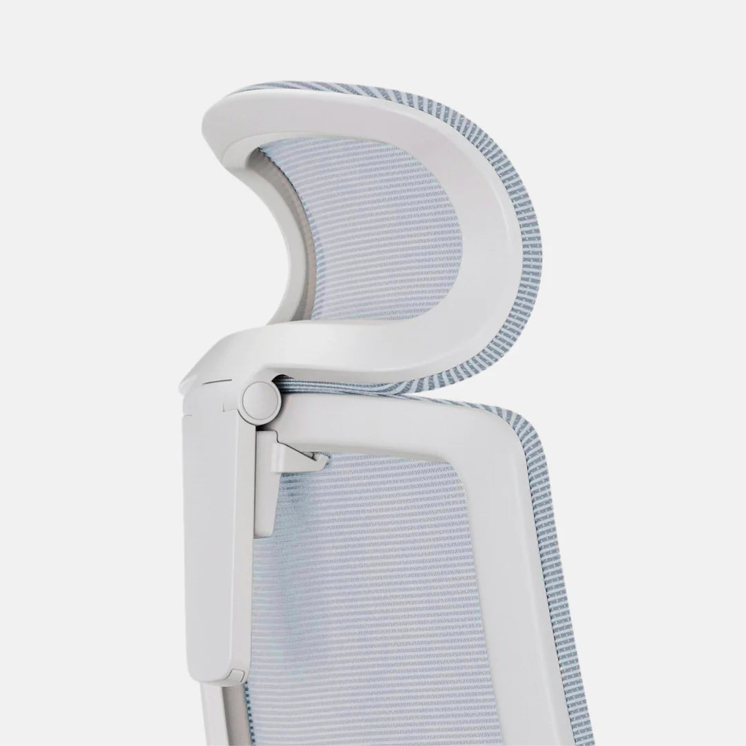Ergonomic Pro Headrest