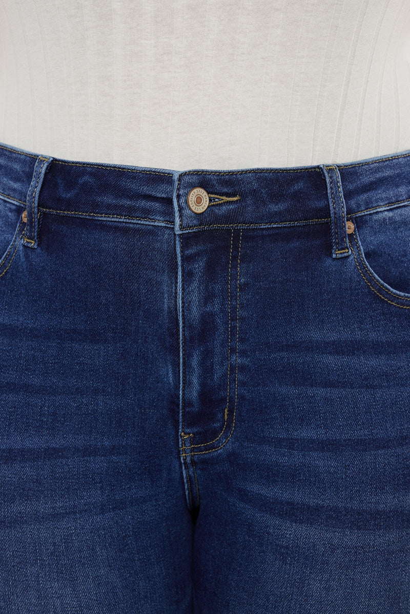 Alannah Essentials High Rise Slim Straight Leg Jeans (Plus Size)