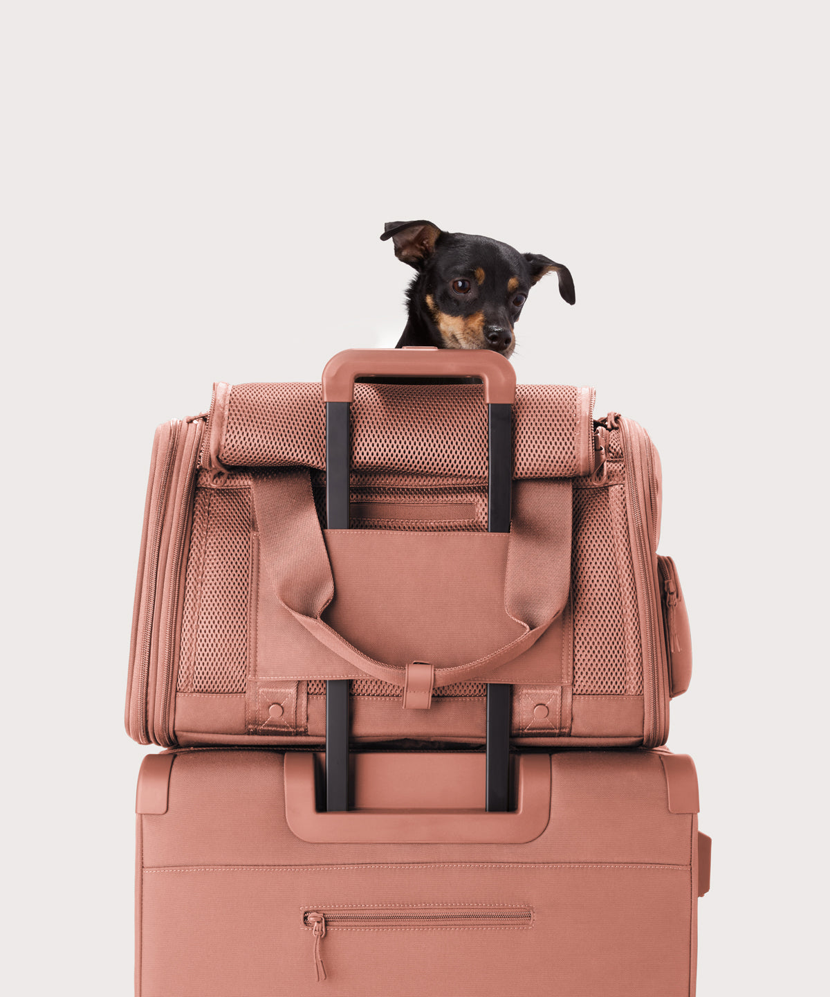 Kyoto Pet Carrier in Warm Dust, Large