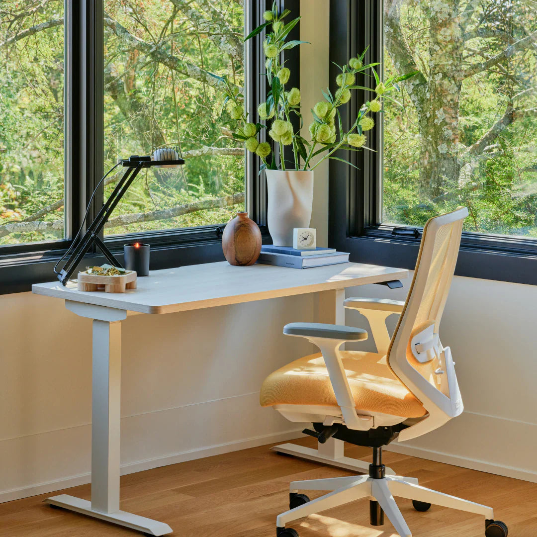 Ergonomic Chair+