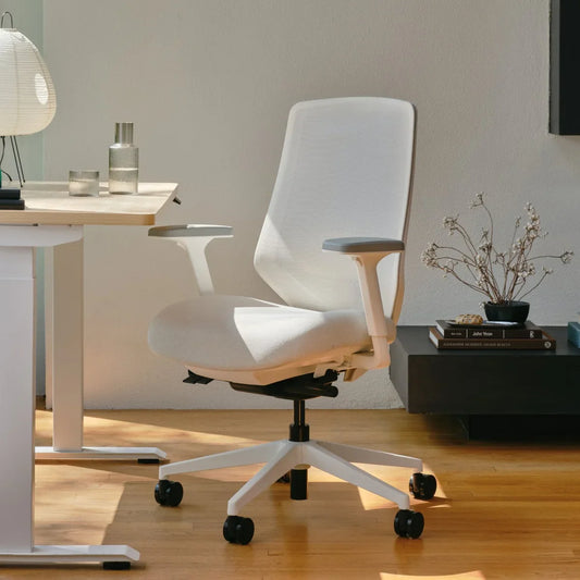 Ergonomic Chair+