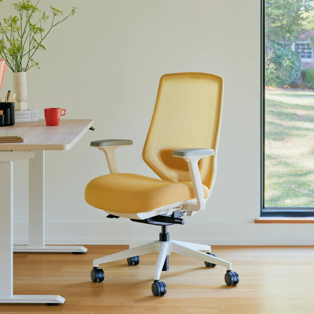 Ergonomic Chair+