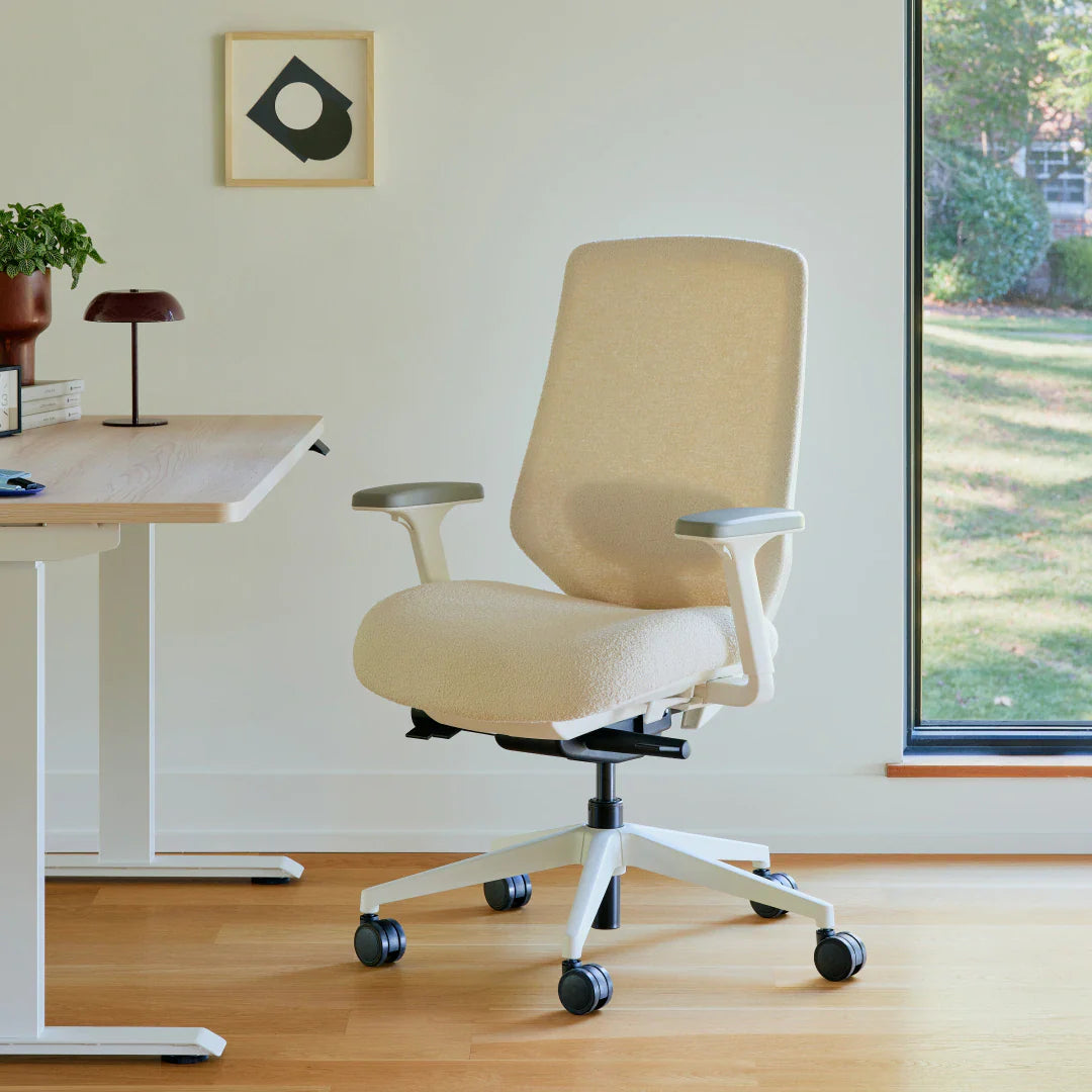 Ergonomic Chair+