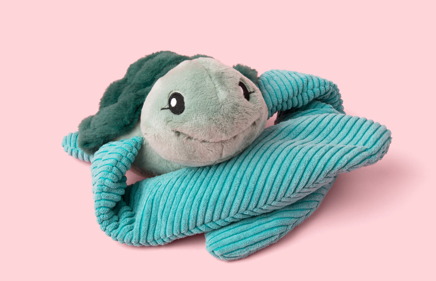 Sidney the Sea Turtle