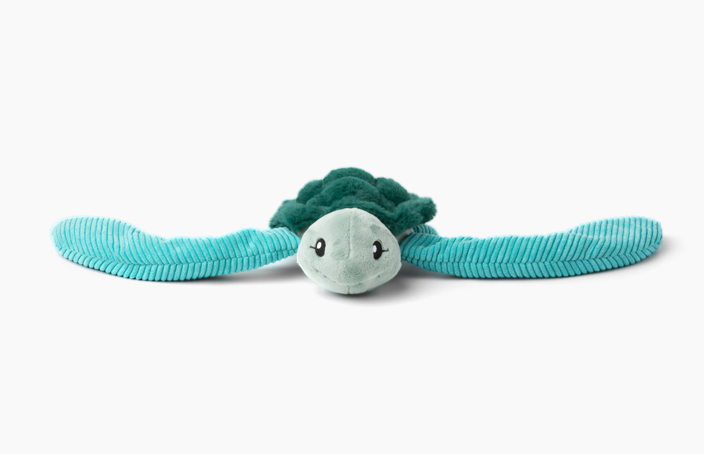 Sidney the Sea Turtle
