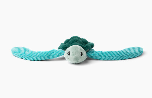 Sidney the Sea Turtle