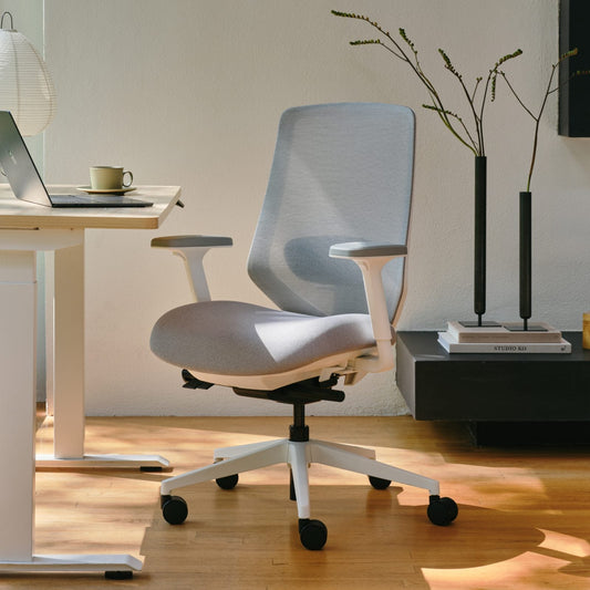 Ergonomic Chair+