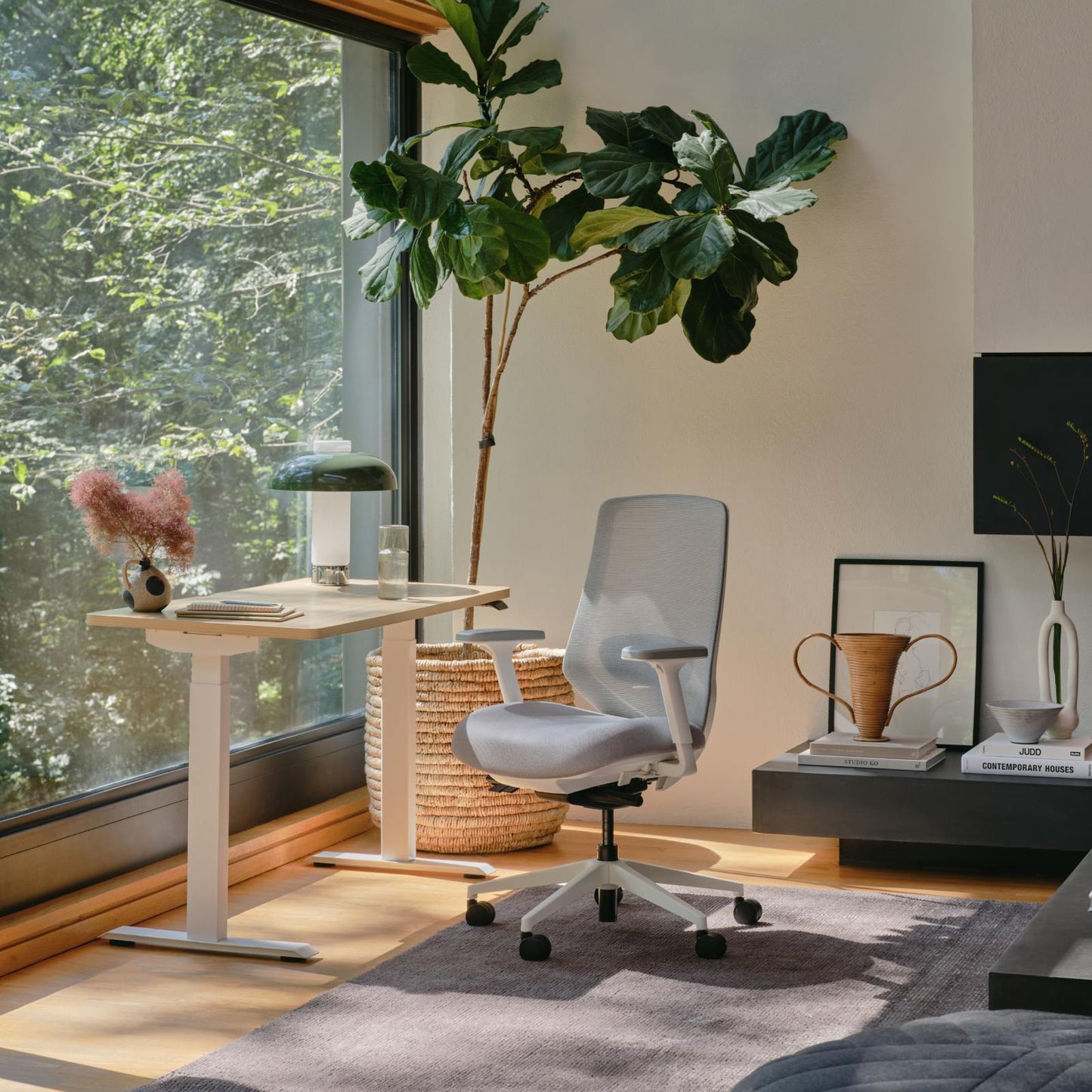 Ergonomic Chair+