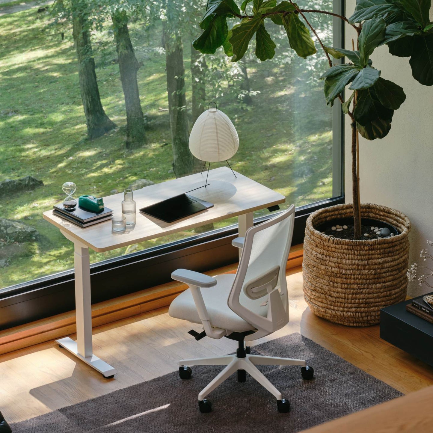 Ergonomic Chair+