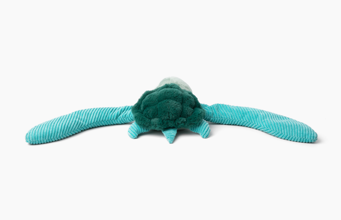 Sidney the Sea Turtle